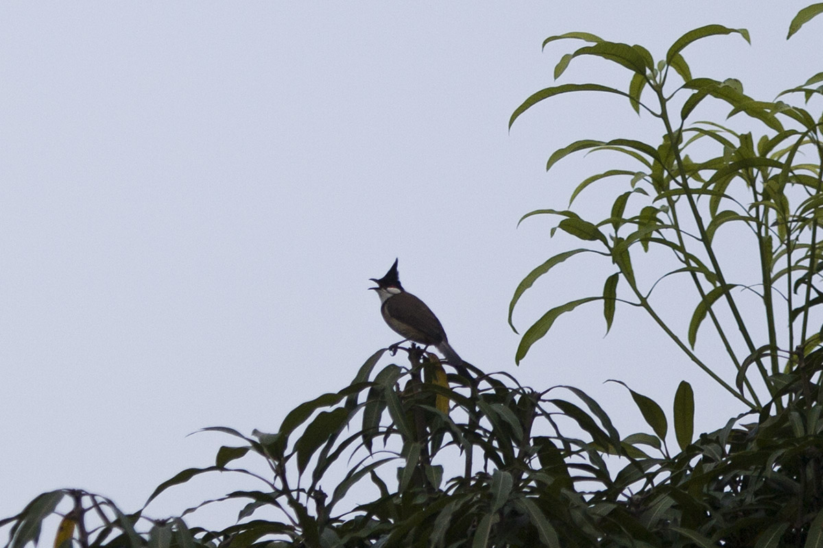 IMG_1156副本.jpg