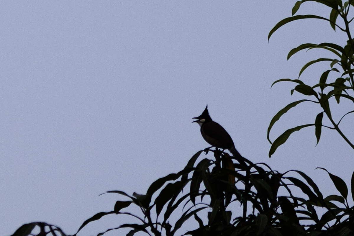 IMG_1157副本.jpg