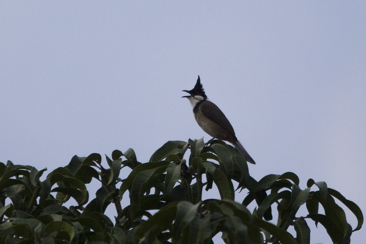 IMG_1160副本.jpg