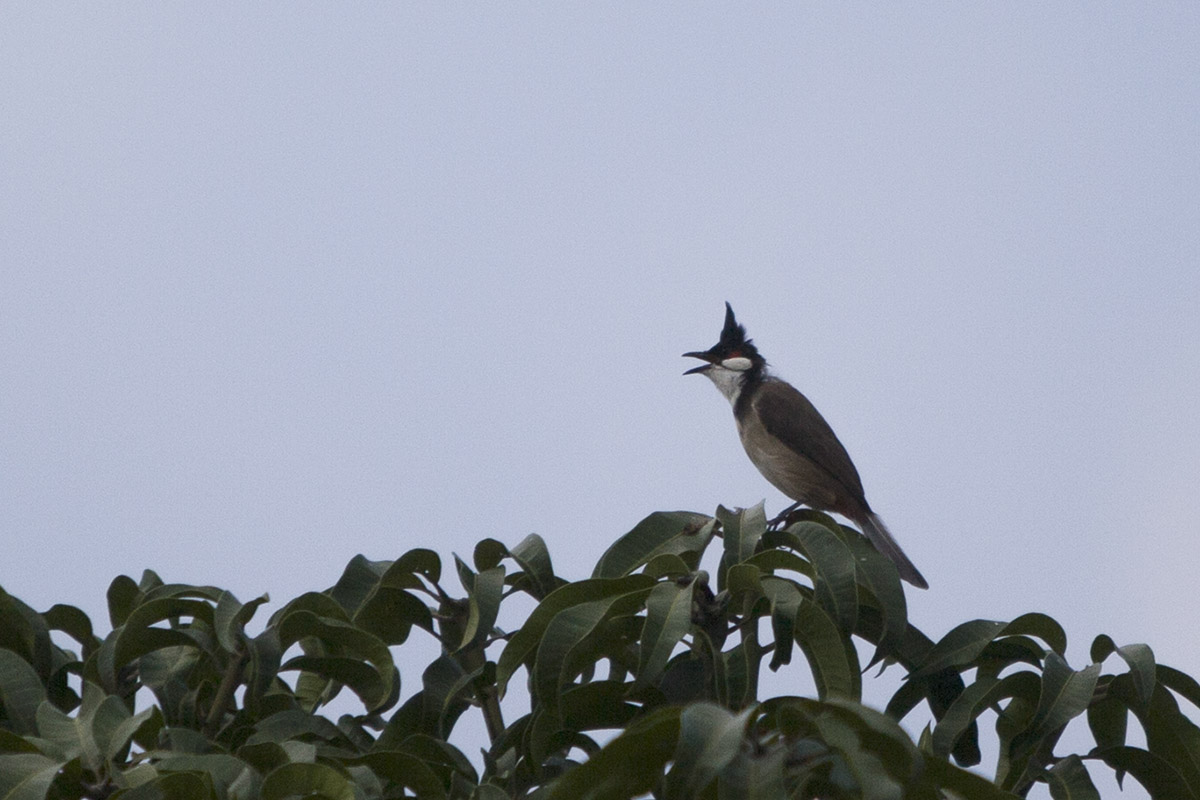 IMG_1161副本.jpg