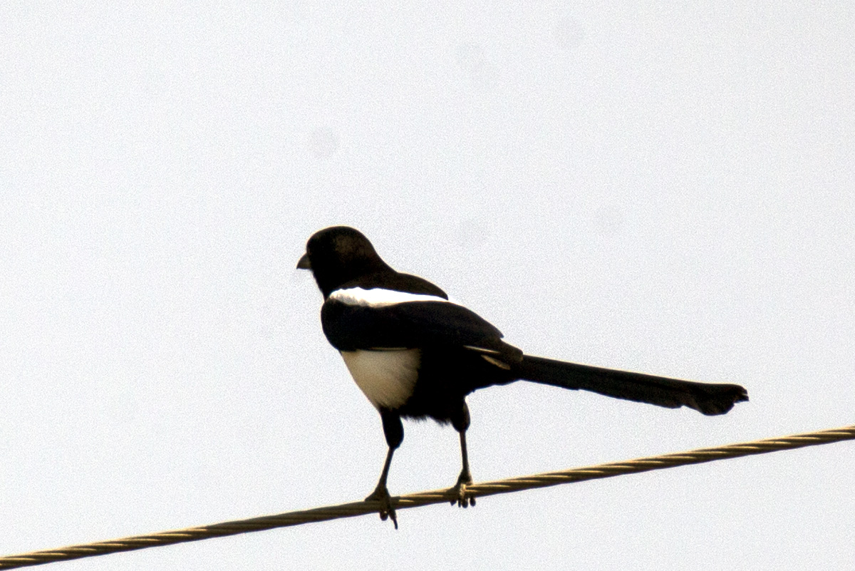 IMG_1314副本.jpg
