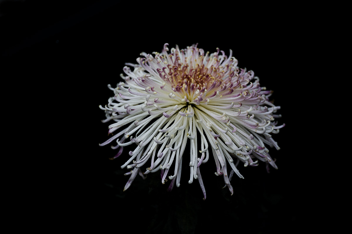 IMG_1730副本.jpg