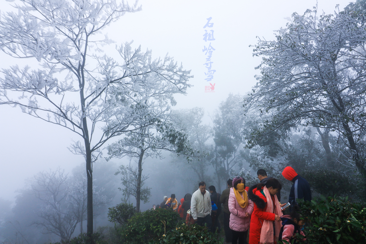 IMG_9456_副本.jpg