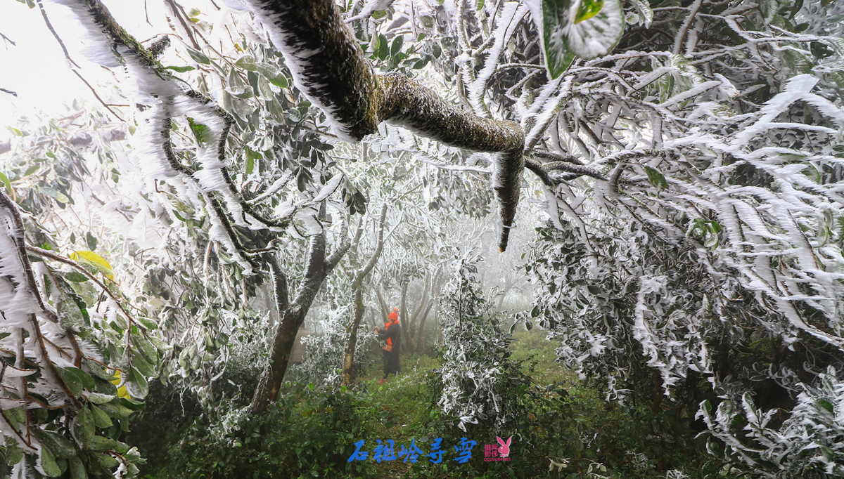 IMG_9637_副本.jpg
