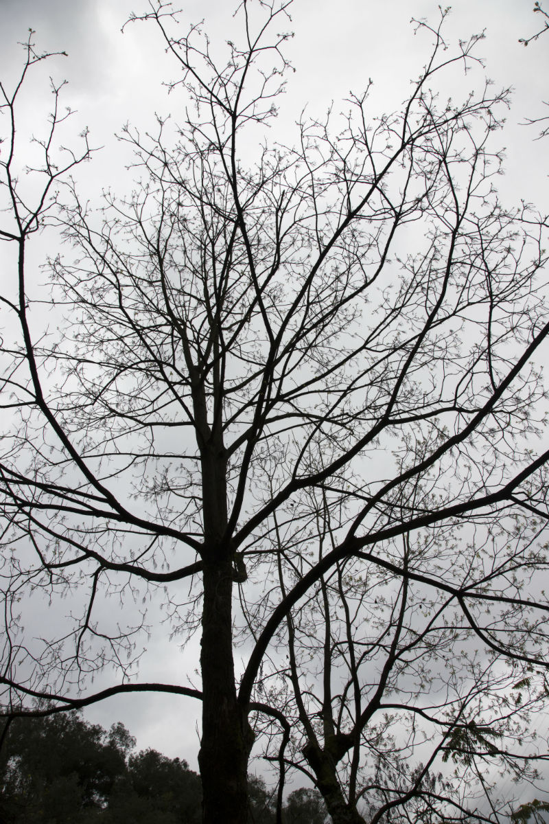 PS_8886.jpg