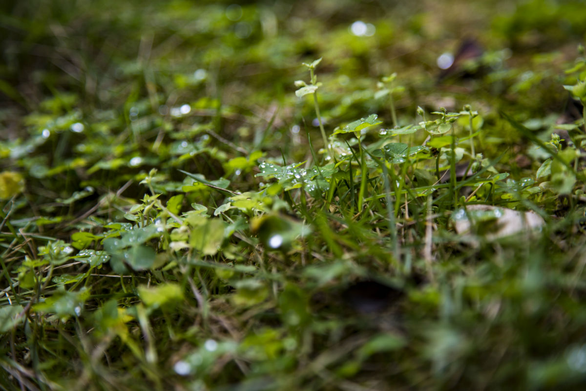 PS_8921.jpg
