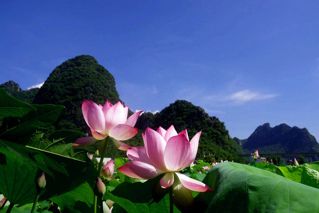 IMGP4709_副本.jpg