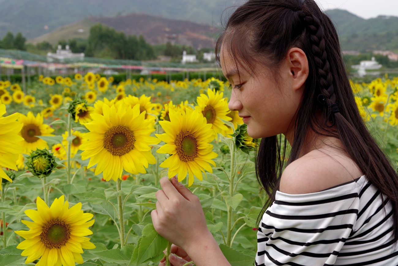IMGP0660_副本.jpg
