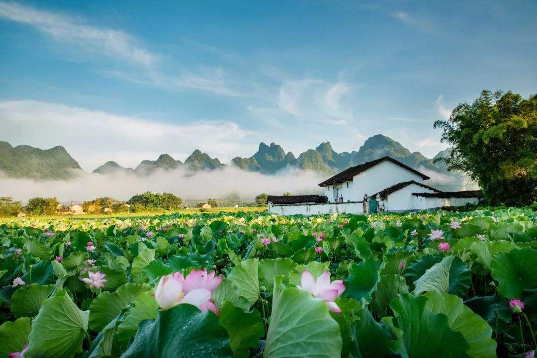 风景.jpg