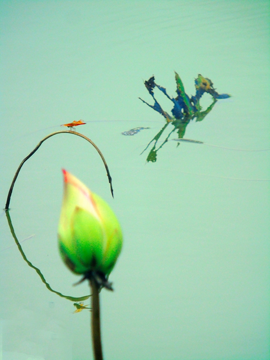 DSC01276  _副本.jpg