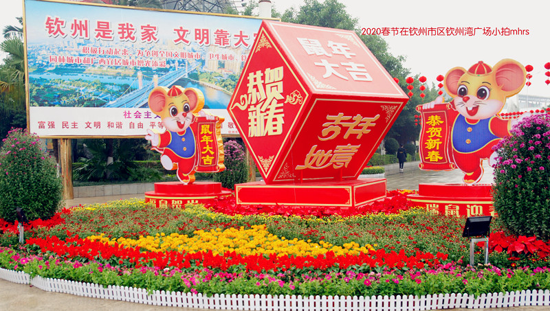 DSC_1993_副本.jpg