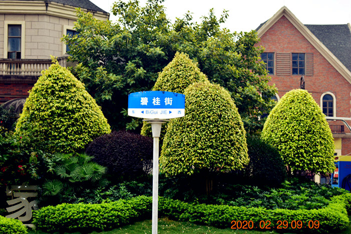 DSC_0011_副本.jpg