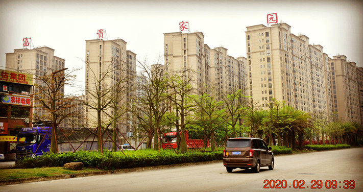 DSC_0037_副本.jpg