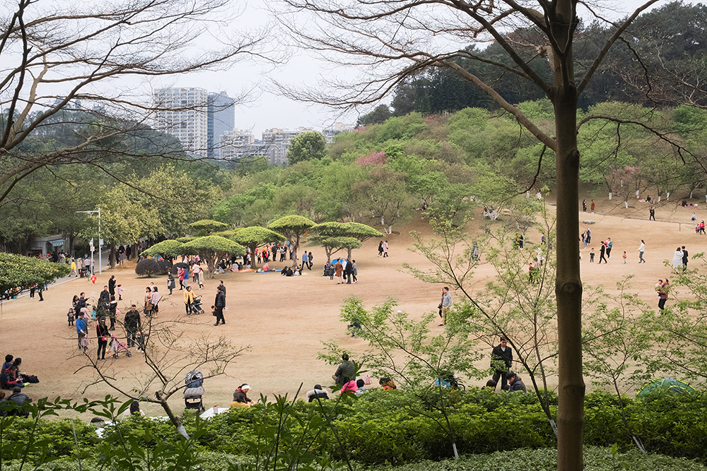 DSCF4600-1.jpg