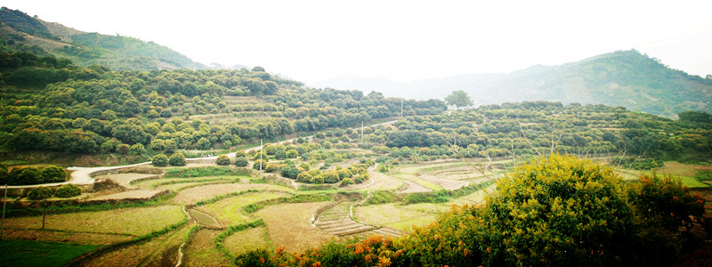 DSC_2456_副本.jpg