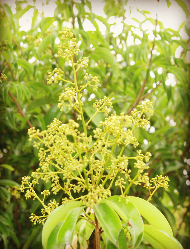 DSC_2545_副本.jpg