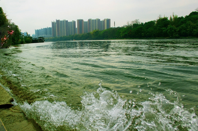 IMG_7830春浪满春情_副本_副本.jpg