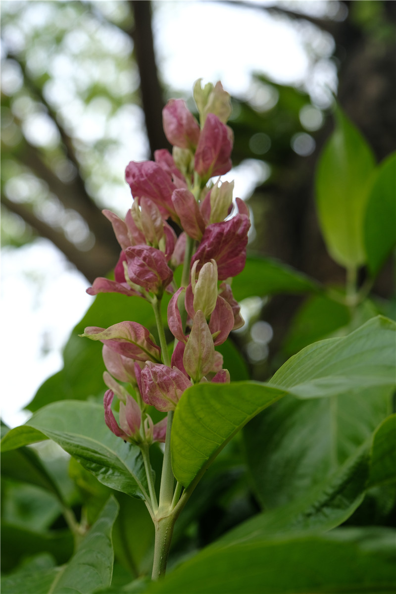 DSCF0043_副本.jpg
