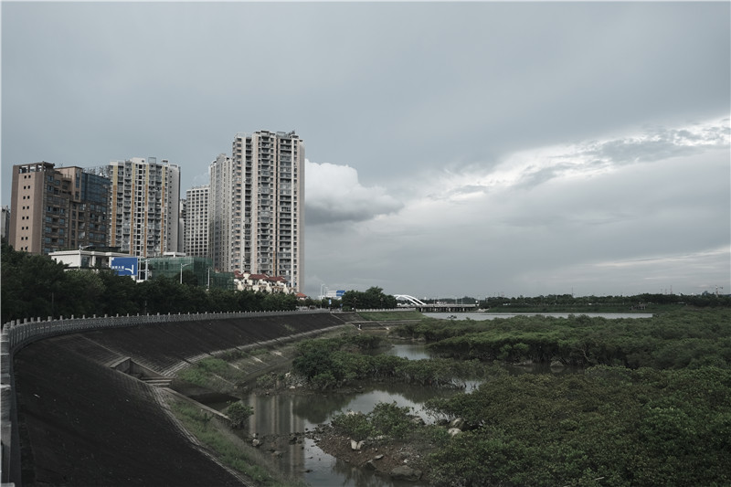 DSCF0148_副本.jpg