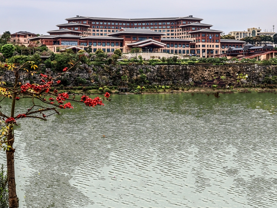 IMG_8803右江木棉红  _副本.jpg