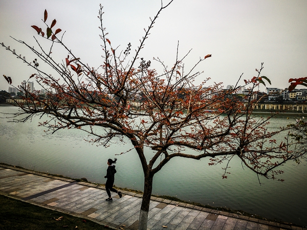 IMG_20210324_084718 _副本_副本.jpg