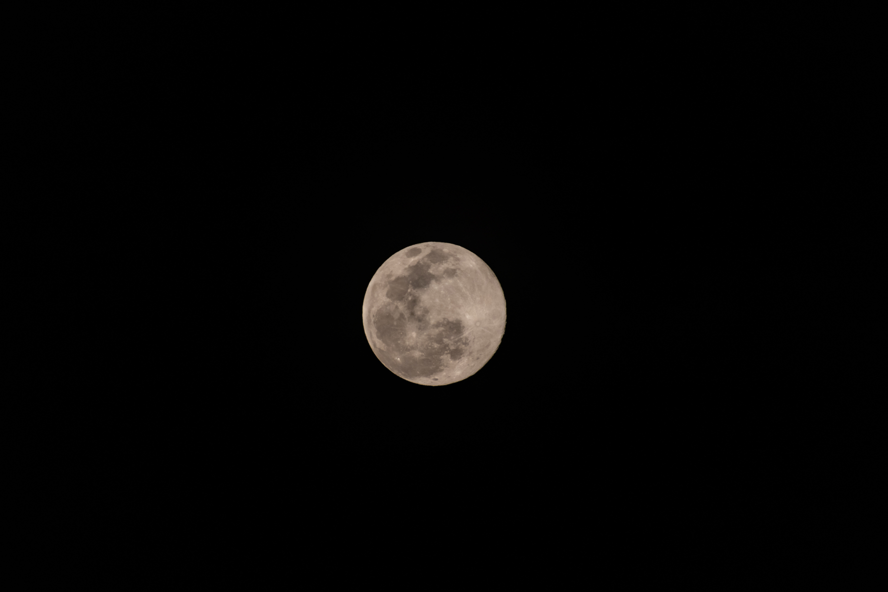 6X1A0292_副本1.jpg
