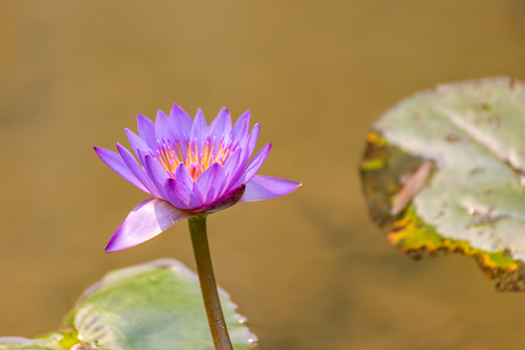 6X1A0317_副本.jpg