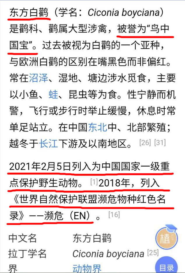 20.JPG