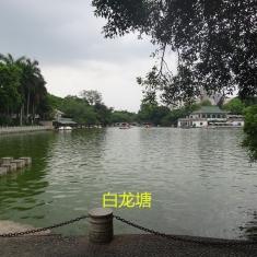 白龙塘