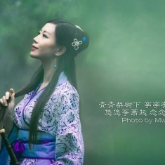 青青梨树下