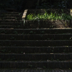 庭园幽静