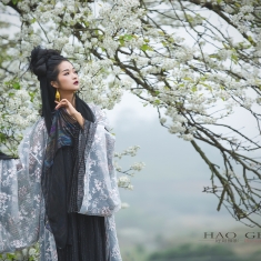 山溪野径见梨花