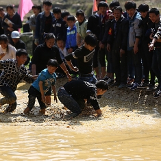 浑水摸鱼