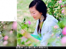 “原味高彩”色彩调修