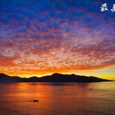 霞浦紫菜季-墨紫轻丝...