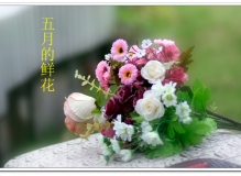 五月的鲜花