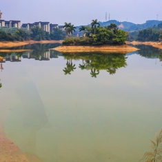 百色龙景湖冬景