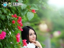 花样心清