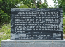 崇左石景林与左江斜塔