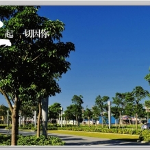 珠海十字门中央商务区风光