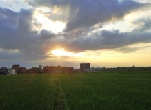 手机夕阳片