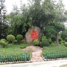 福