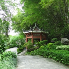 风景