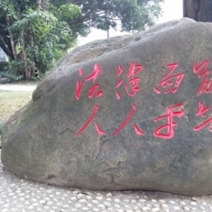 法字艺术