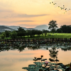 百色半岛早晨