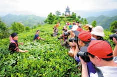 企业摄影协会上山下乡采风忙