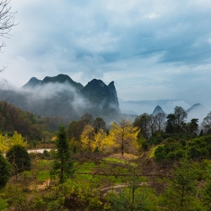 金色的小平乐