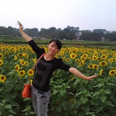 葵花心情