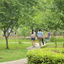 青春足迹。