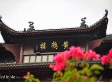 老武汉
